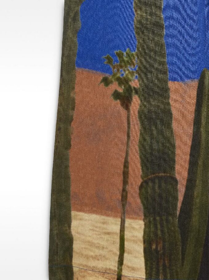 Px 232668 Blm V7
